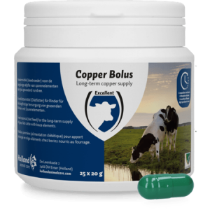 Copper Bolus
