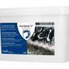Cow Drench "L"