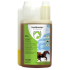 Feed Booster Horse