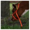 HALS0031
