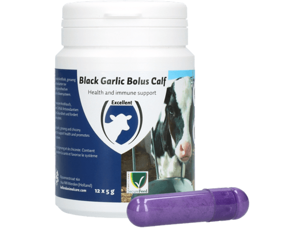 Black Garlic Bolus Calf