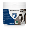Myko Bolus Calf