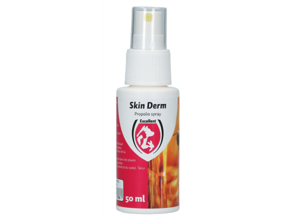 Skin Derm Propolis Spray NL/FR