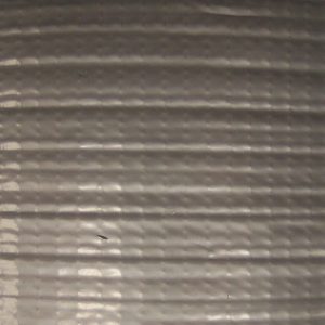 Klauwverband zilver, 50m, 50mm 0
