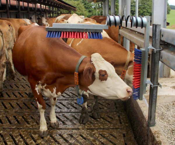 Veeborstel EURO - FARM 0